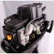 PARSUN F9.8BMS
